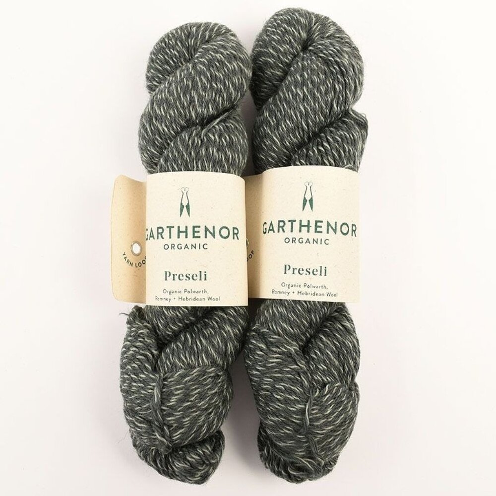 Garthener Organic Preseli Yarn 2 Skeins Polwarth Romney Hebridean Bough